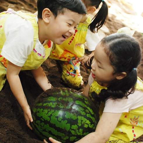 쿠팡 모바일 [서울] 고마워토토 수박체험
