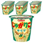 가루비 쟈가리코 사라다 맛