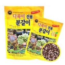 골든시티 친환경 다육이 선인장 분갈이흙 이게 최고! 12리터, 1개
