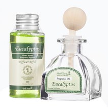 허브타임 차량용 방향제 50ml 디퓨져, 유칼립투스, 1개