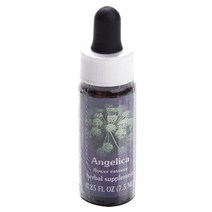 플라워에센스서비시즈 안젤리카 플라워 에센스, 7.5ml, 1개