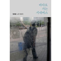 [천년의시작]바다로 가는 시내버스, 천년의시작, 정태춘