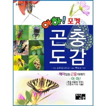 아하 포켓 곤충도감, 지식서관, 조유성 저/변봉규 감수