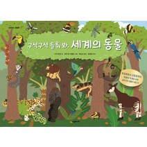 [시공주니어]구석구석 들춰 봐 세계의 동물- 네버랜드 플랩북, 시공주니어, 니키 호린