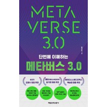 [매일경제신문사]단번에 이해하는 메타버스 3.0, 매일경제신문사, 홍성용