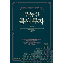 부동산 틈새 투자:월급처럼 매달 수익이 들어오는, 밀리언서재, 김태연