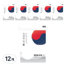 국대마스크 황사 미세먼지 2D 마스크 흰색 중형 KF94, 5개입, 12개