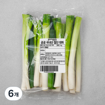 곰곰 국내산 절단대파, 1kg, 6개
