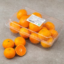 GAP 감귤(하우스), 1.5kg, 1개