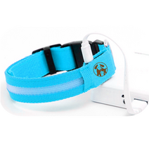 멍멍군나비양 강아지 USB 충전식 LED 야광목줄, 블루