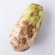 곰곰 친환경 무, 1개입, 1개