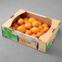 곰곰 서귀포 당도선별 하우스 감귤, 3kg, 1박스