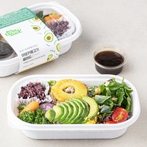 슬림쿡 아보카불고기 샐러드, 300g, 1개