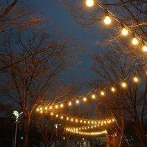 스트링월드 스트링라이트 전등선 30m 30소켓 + 벌브 12W 30p + 갓 30p 세트, 블랙(전등선), 화이트(갓), 전구색(벌브)