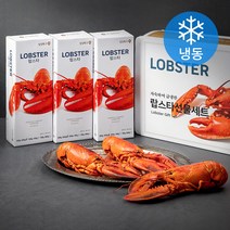세웅 자숙하여 급냉한 랍스타 선물세트 (냉동), 500g, 3개