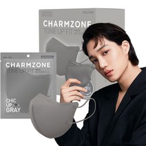 참존 톤업핏 마스크 시크업 그레이 중형, 25개입, 1개