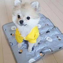 앙꼬 펫아이스 쿨매트, 혼합 색상