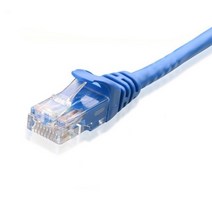 애니포트플러스 CAT.6 랜선 30m, 블루, 1개