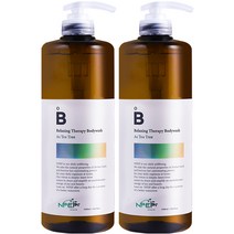 엔펩 릴렉싱 테라피 바디워시 애즈 티트리향, 1000ml, 2개