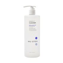 뮤스템 퍼펙트 클렌저, 480g, 1개