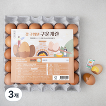샛별뜨락 갓 구워낸 구운계란, 30구, 3개