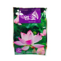 비에프에이 꽃씨앗 연꽃, 10개, 10개