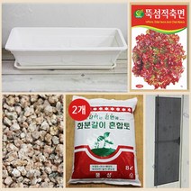 행복한세상 텃밭가꾸기 대 화이트 뚝섬적축면, 1개