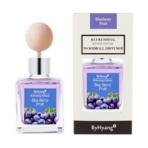 바이향 리프레싱 우드볼 디퓨져 100ml, 블루베리 프룻