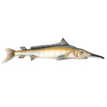 한사토이 동물인형 6051 청새치 Blue Marlin, 20cm, 파랑색