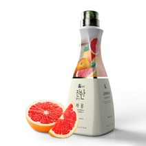 웰파인 자몽 농축액 1.5kg, 1.5L, 1개