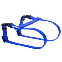 이코디 더블 고양이 하네스, 블루