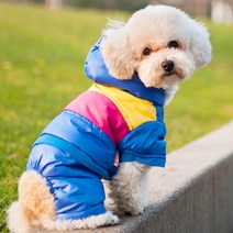 펫코디 강아지 알록달록 패딩, A