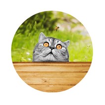 스윗리빙 릴렉스 펫 주방매트, 14, 1개