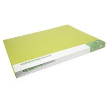 알파 칼라 클리어 A3 파일 20, 연두, 1개