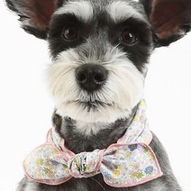 에이미러브즈펫 강아지 폼스카프 가든 S, 혼합 색상, 1개