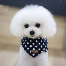 도그아이 강아지 똑딱이스카프 M, 네이비별, 1개