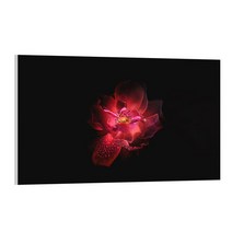 유브이디에스 아트보드 주방시트지 블랙앤레드, 1개