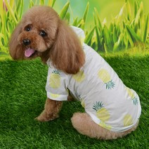 슈퍼식스 반려동물 과일 자외선차단 바람막이, 파인애플