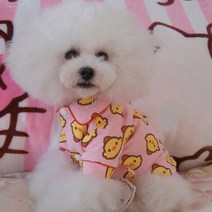 반려동물 사계절 미코 파자마, 핑크병아리