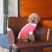 다솜 반려동물 팝칼라 니트 티셔츠, 핑크