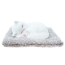 어바인클래스 잠자는인형 뭉뭉이와 냥냥이 터키쉬앙고라, 1개