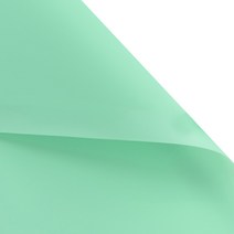 에스피글로벌 레인방수 플라워포장지, 민트, 20개입