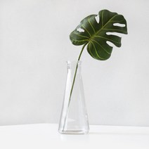 블루밍앤미 몬스테라 clean 투명유리병 세트, 혼합 색상, 2세트