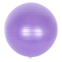 나스포 안티버스트 다이어트 짐볼, 퍼플