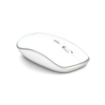 애니존 옵티컬 무선 광 마우스 WM-310, WHITE