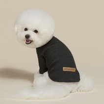 오드스튜디오 베이직 골지 반려동물 터틀넥, 차콜