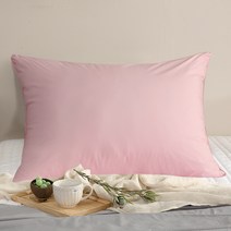 린튼 M2 기능성 알러지케어 베개 커버 + 마이크로 베개솜 세트, 베이비핑크