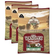 펫츠핸들러 티모시펠렛 토끼&기니피그 펠렛사료, 600g, 3개