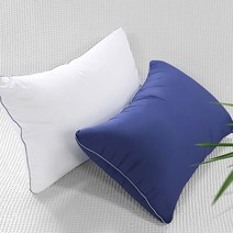 달잠 빨아쓰는 알러지케어 마이크로화이바 베개솜 + 베개커버, 커버(네이비), 솜(화이트)