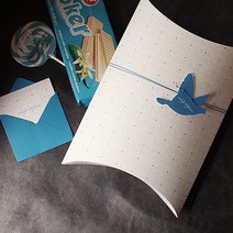 디비디 빌리지 박스 Bird 선물 포장 상자 Medium, 혼합색상, 5개